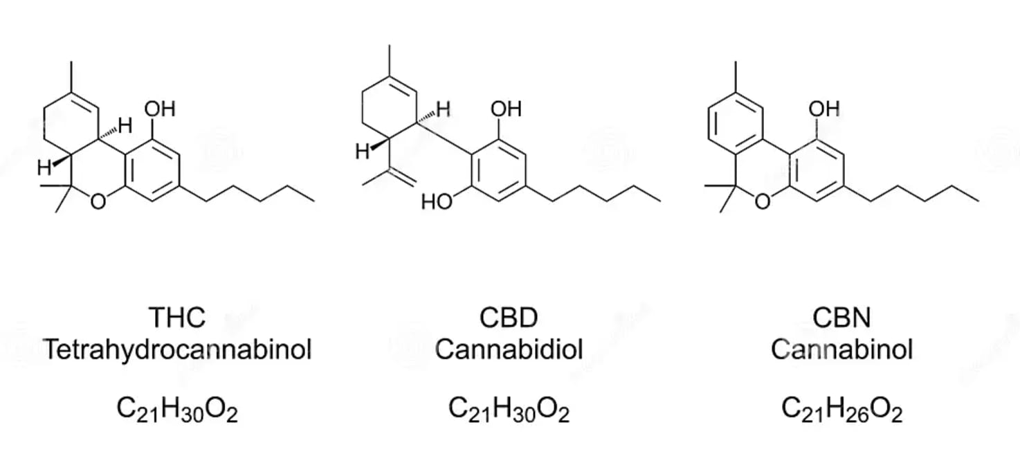 cannabinoid ganja
